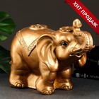 Копилка "Слон индийский" бронза, 23х42х39см - фото 8796610