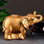 Копилка "Слон индийский" бронза, 23х42х39см - Фото 2