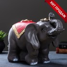 Копилка "Слон индийский" цветной, 22х40х29см - фото 4763091