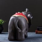 Копилка "Слон индийский" цветной, 22х40х29см - фото 9006400