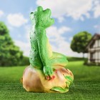 Садовая фигура из гипса «Лягушка на камне», 52×23×30 см - Фото 7