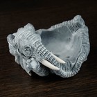 Копилка-монетница "Слон" 12х13х7см - Фото 4