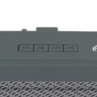 Портативная колонка Ritmix SP-260B, 6 Вт, 400 мАч, Bluetooth, AUX, FM, microSD, серая - Фото 3