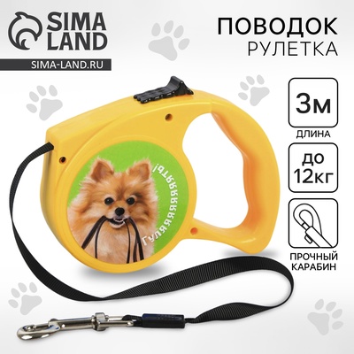 Рулетка «Гулять» 3 м