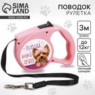 Рулетка «Порода видна сразу» 3 м - Фото 1