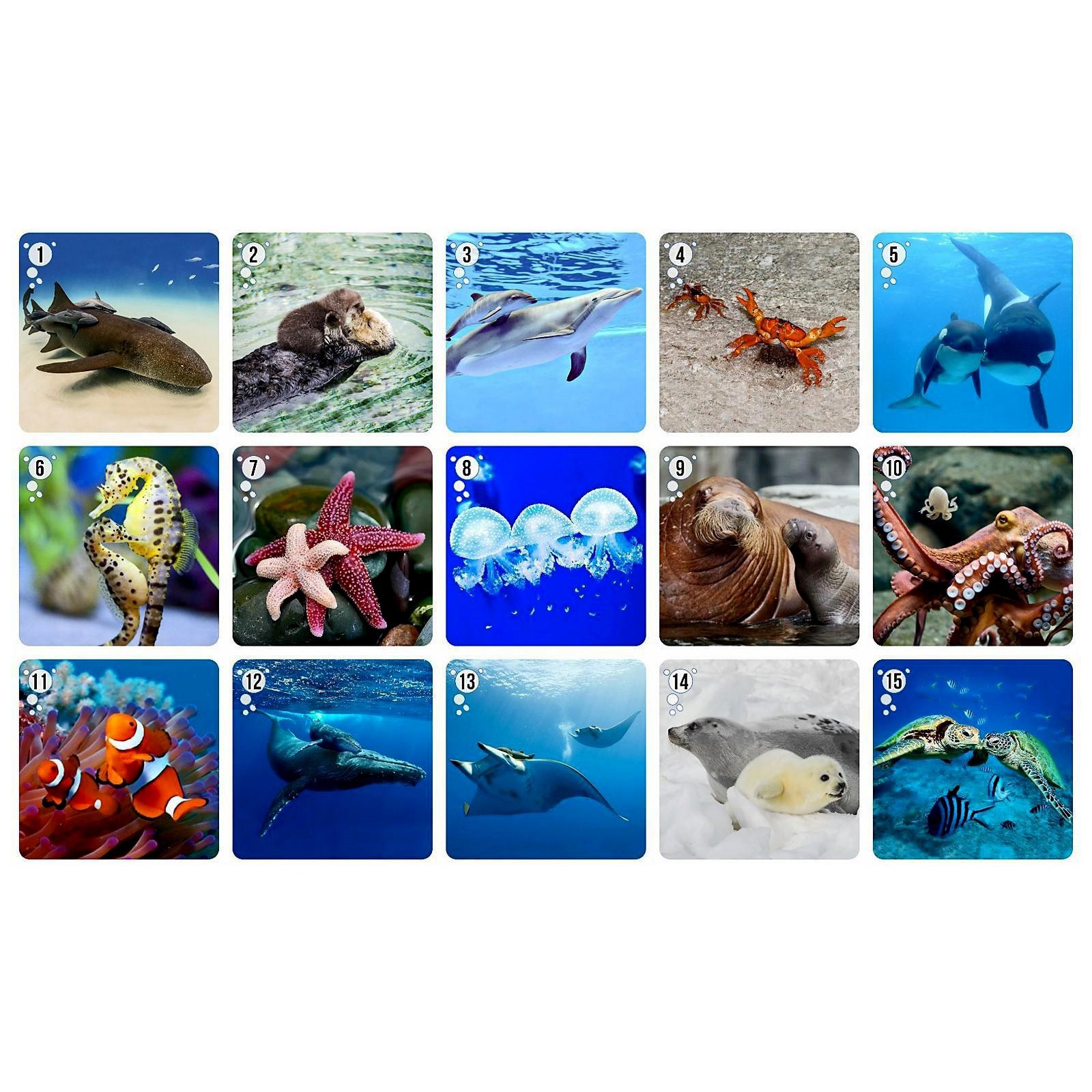 Настольная игра "Мемо. Водный мир" (4622577) - Купить по цене от 160.00 руб. Инт