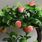 Бонсай в горшке "Деревце персики" 10х17,5 см, микс - Фото 2