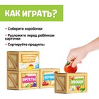 Обучающий набор «Сортер-копилка: продукты», по методике Монтессори - фото 3832085