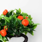 Бонсай искусственный в горшке «Мандарин», 10×18 см - Фото 3