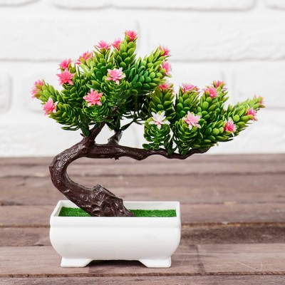 Бонсай "Деревце изящное" 10*14 см микс