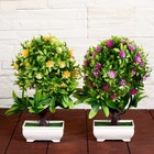 Бонсай в горшке «Деревце с мелкими цветами», 10×25 см, МИКС - Фото 4