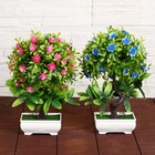 Бонсай в горшке «Деревце с мелкими цветами», 10×25 см, МИКС - Фото 5