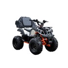 Кофр для ATV OUTLAW 110-150 EFI, черный - Фото 6