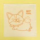 Пакет для хранения вещей Best friends, 40 × 40 см - Фото 1