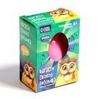 Растущие животные в яйце «Сова» МИКС - Фото 2