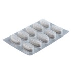 Защита комнатных растений «Искра золотая», 10 палочек, 2 г - Фото 3