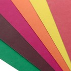 Картон цветной двусторонний А5, 8 листов, 8 цветов "Зебра", немелованный 220 г/м2, в папке - фото 8452029