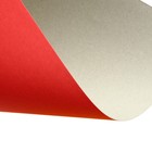 Картон цветной А3, 8 листов, 8 цветов «Тигруля», немелованный 220 г/м², в папке - Фото 6