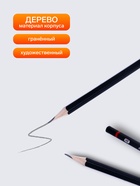 Набор карандашей чернографитных Calligrata, 12 штук, разная твёрдость, шестигранные, деревянные - Фото 3