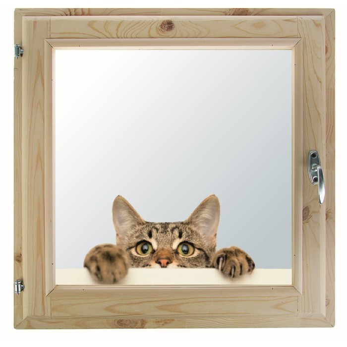 Окно, 50×60см, "Кошак", однокамерный стеклопакет, с уплотнителем