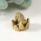 Нэцке полистоун бронза "Маленькая жаба в лотосе" 2,5х2,5х2,5 см - Фото 3