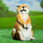 Садовая фигура "Бурундук малый" 14х11х20см - Фото 1