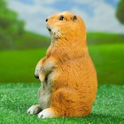 Садовая фигура "Бурундук малый" 14х11х20см - Фото 2