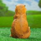 Садовая фигура "Бурундук малый" 14х11х20см - Фото 3
