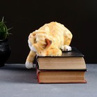 Садовая фигура из гипса «Спящий Кот», 15×23×13 см - Фото 2