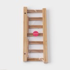 Подставка для разделочных досок и крышек Доляна, 30×10, 6 мест - Фото 12