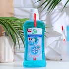 Ополаскиватель для полости рта «Для всей семьи», Морозная свежесть, 500 мл - Фото 1