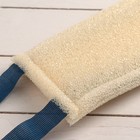 Губка для тела жёсткая «Эконом», 37×12 см, цвет МИКС - Фото 2