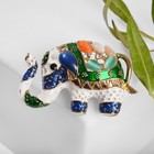 Брошь «Слон» цирковой, цветная в золоте - Фото 1