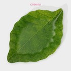 Блюдо сервировочное Доляна «Лист», 31×19 см, стекло, цвет зелёный - Фото 2