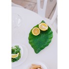 Блюдо стеклянное сервировочное Доляна «Лист», 31×19 см, цвет зелёный - фото 4270368