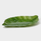 Блюдо стеклянное сервировочное Доляна «Лист», 31×19 см, цвет зелёный - фото 4270362