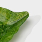 Блюдо стеклянное сервировочное Доляна «Лист», 31×19 см, цвет зелёный - фото 4270364