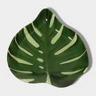 Блюдо сервировочное Доляна «Монстера», 21×21 см, стекло, зелёное - Фото 3