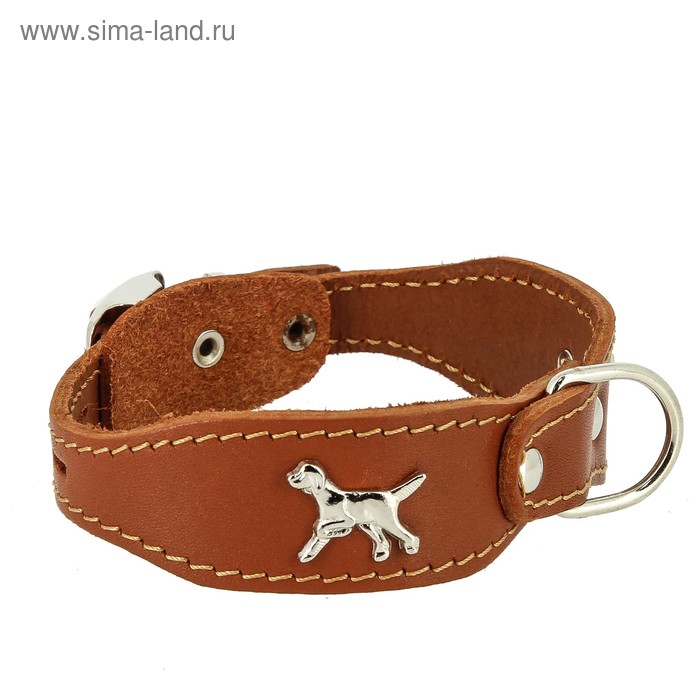 Ошейник кожаный "Флер" украшенный "Собака", с кольцом, ОШ 25-31 х 1,5 см, светло-коричневый - Фото 1