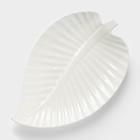 Блюдо для подачи «Лист», 30×19.5×3 см, керамика, цвет белый - Фото 1