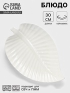 Блюдо для подачи «Лист», 30×19.5×3 см, керамика, цвет белый - Фото 1