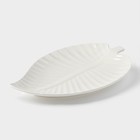 Блюдо для подачи «Лист», 30×19.5×3 см, керамика, цвет белый - Фото 2