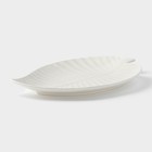 Блюдо для подачи «Лист», 30×19.5×3 см, керамика, цвет белый - Фото 3