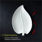 Блюдо для подачи «Лист», 30×19.5×3 см, керамика, цвет белый - Фото 6