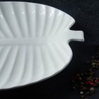 Блюдо для подачи «Лист», 30×19.5×3 см, керамика, цвет белый - Фото 7
