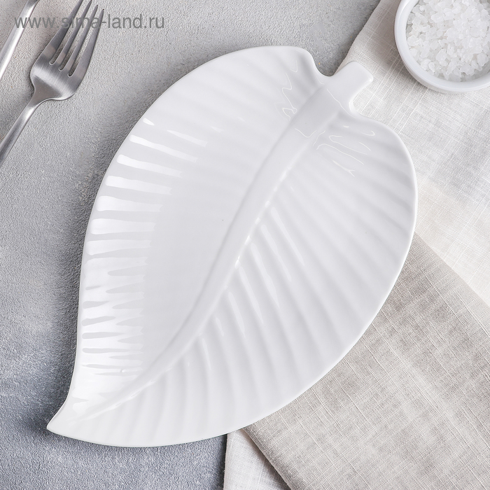 Блюдо для подачи «Лист», 25×16×2 см, керамика, цвет белый - Фото 1
