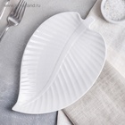 Блюдо для подачи «Лист», 25×16×2 см, керамика, цвет белый - Фото 5