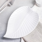 Блюдо для подачи «Лист», 25×16×2 см, керамика, цвет белый - Фото 6