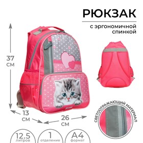 Рюкзак школьный, 37 х 26 х 13 см, эргономичная спинка, Calligrata ОРТ 'Котёнок с горошком' Ош