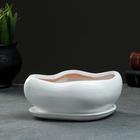 Горшок для кактусов и суккулентов «Бонсай», 600 мл, 18×14 см, керамический, с поддоном, белый - Фото 3